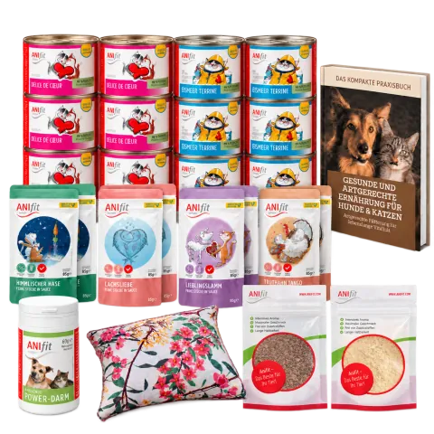 ANIfit Kittenpaket mit Dosen, Pouches, Power-Darm, Kissen, Praxisbuch und Probierbeuteln