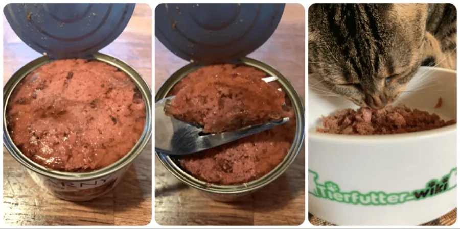 Animonda Carny Kitten Nassfutter Praxistest
