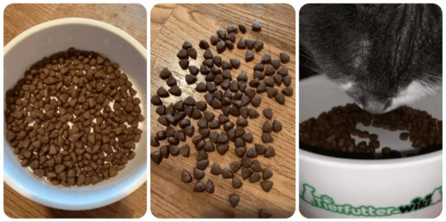 Applaws Kitten Trockenfutter Huhn im Test