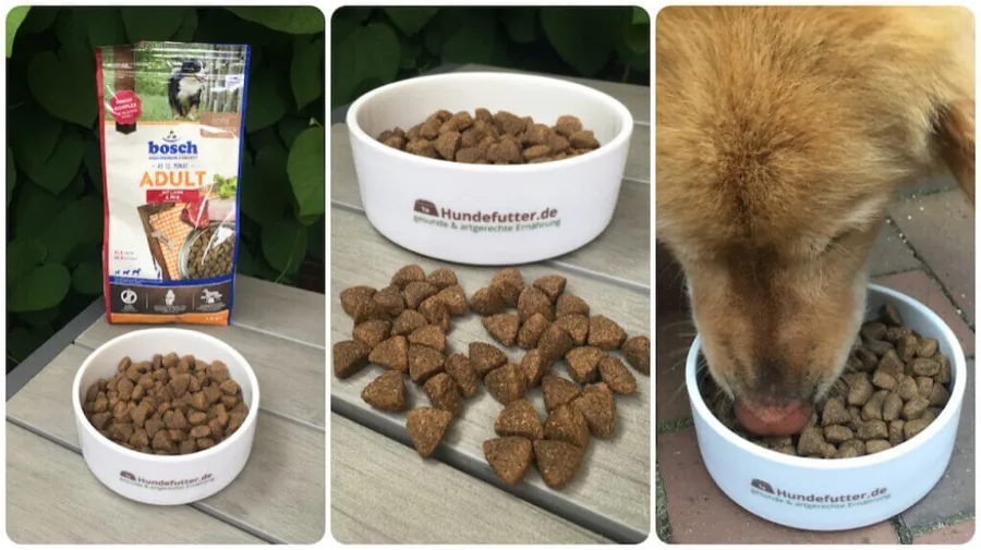Bosch Welpenfutter – Praxistest und Erfahrungen Bosch Hunde Trockenfutter Test