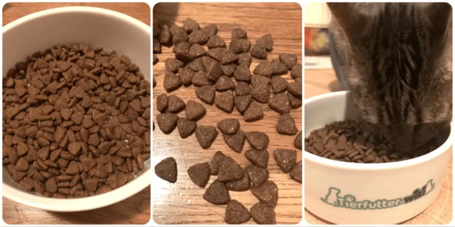 Dm Dein Bestes Katzen Trockenfutter im Test