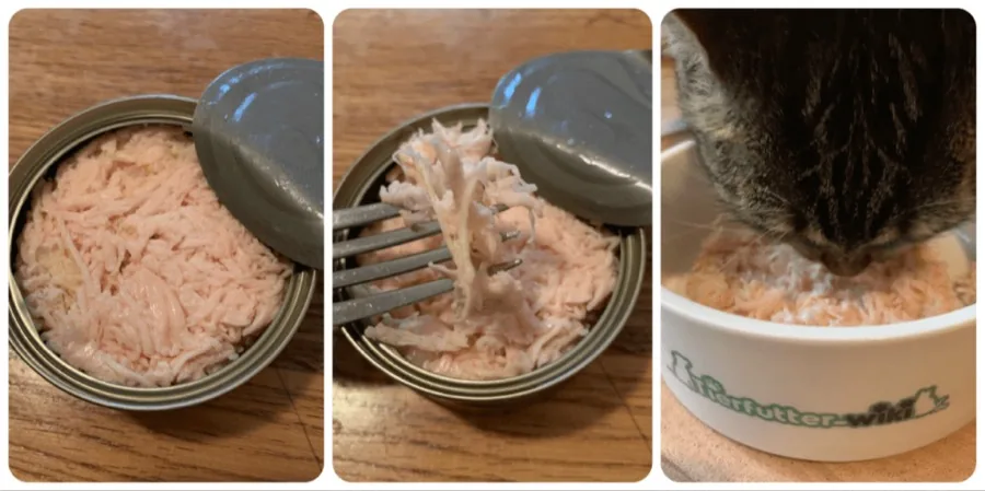 Greenwoods Katzen-Nassfutter – Praxistest und Erfahrungen Greenwoods Katzen Nassfutter Praxistest