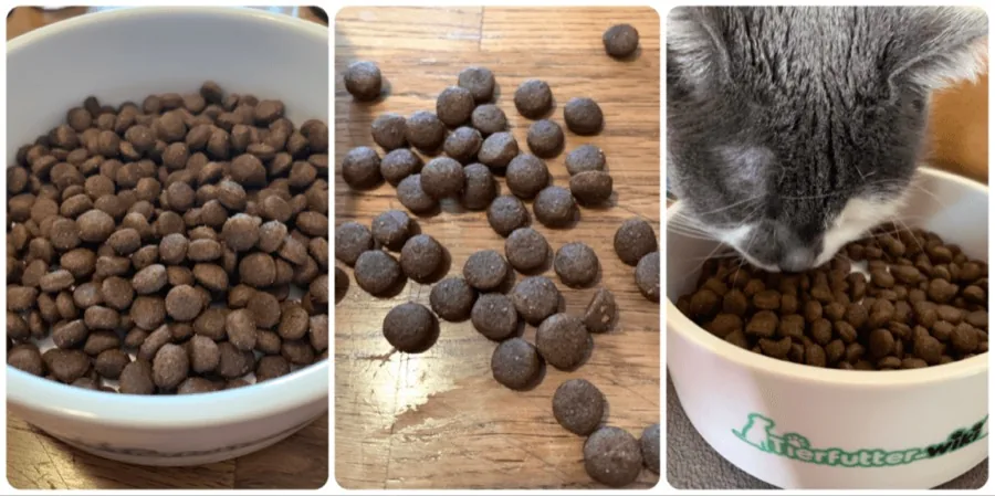 Happy Cat Atlantik-Lachs Trockenfutter im Praxistest