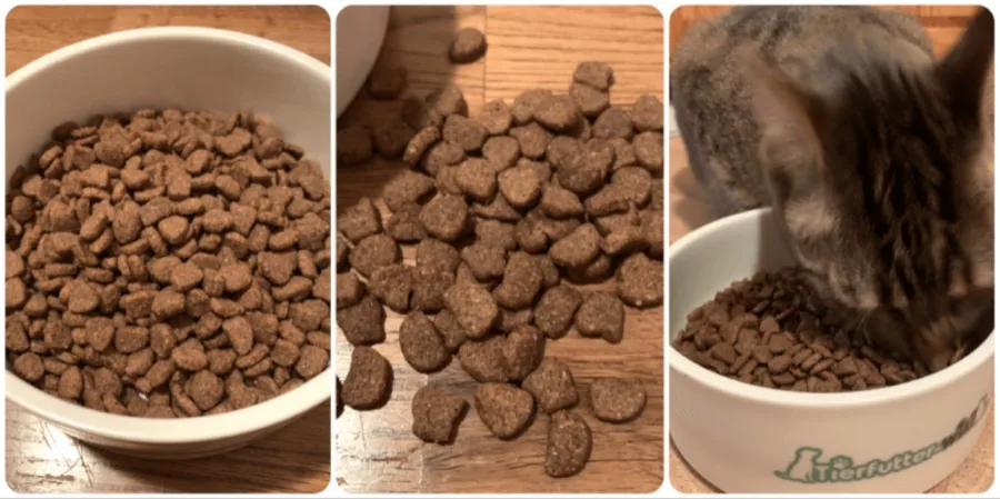 IAMS Katzen-Trockenfutter – Praxistest und Erfahrungen Iams for Vitality Trockenfutter Huhn