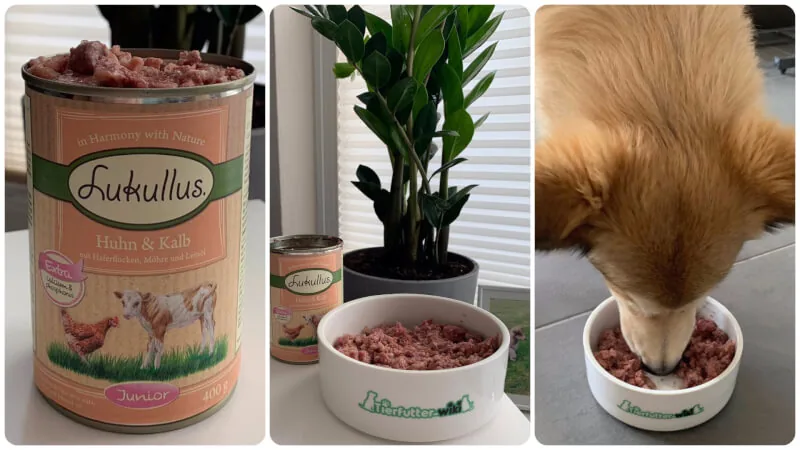 Lukullus Welpenfutter Huhn & Kalb im Test