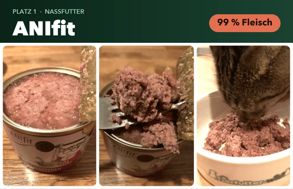ANIfit Katzenfutter im Test: geöffnete Dose, Fleischstruktur und Katze beim Fressen