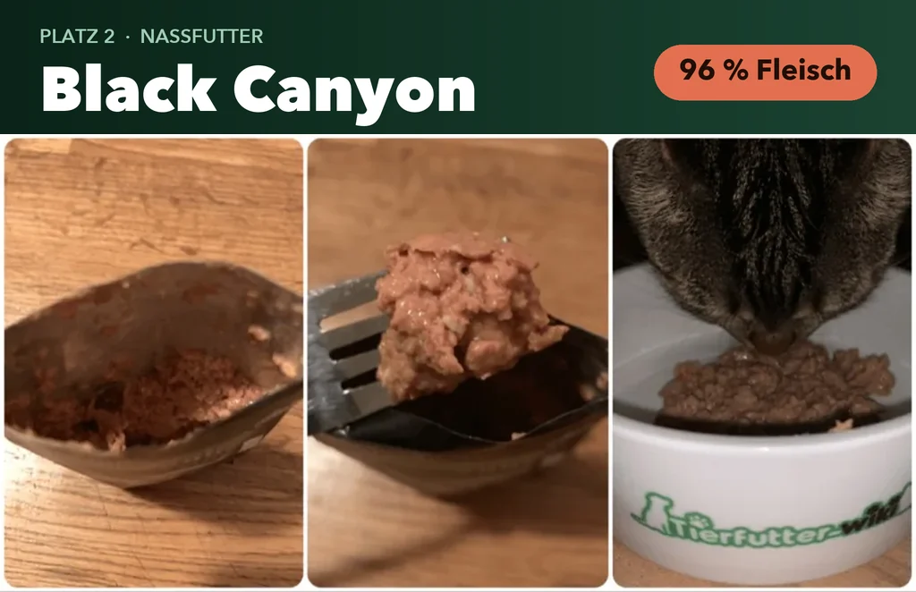 Black Canyon Katzenfutter im Test: Futter im Napf und Katze beim Fressen