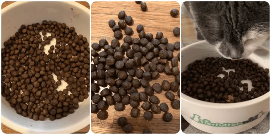 Real Nature Wilderness Katzen Trockenfutter im Test