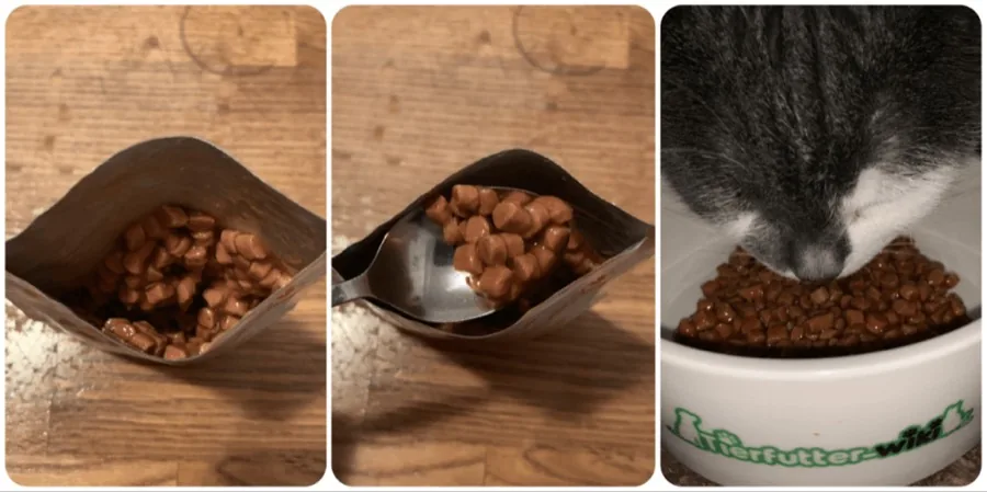 Royal Canin Kitten Nassfutter in Sauce im Test