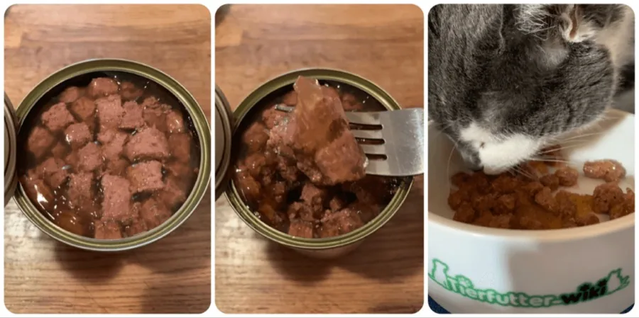 Topic Nassfutter von Aldi Nord im Test