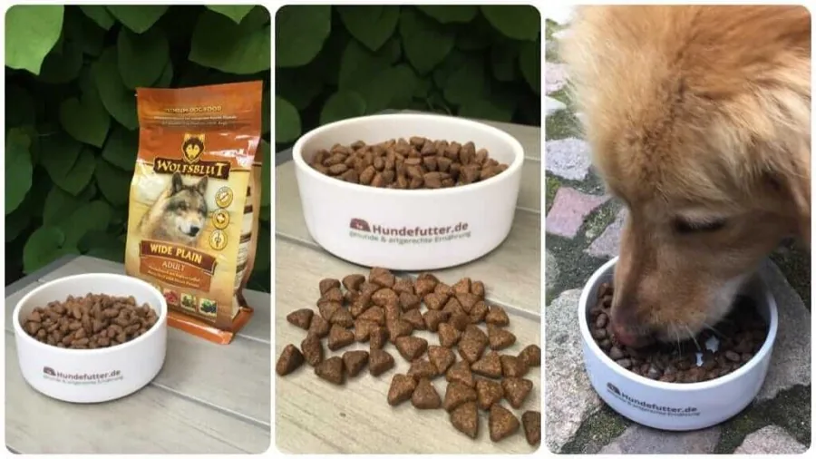 Wolfsblut Wide Plain Hundefutter im Test