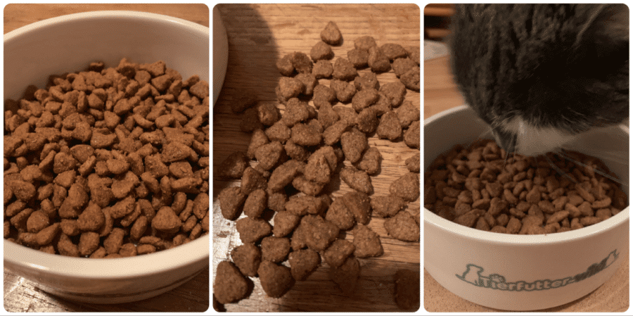 Katzenfutter von Purina ONE - Purina One Trockenfutter Praxistest